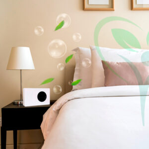 ozone purifier